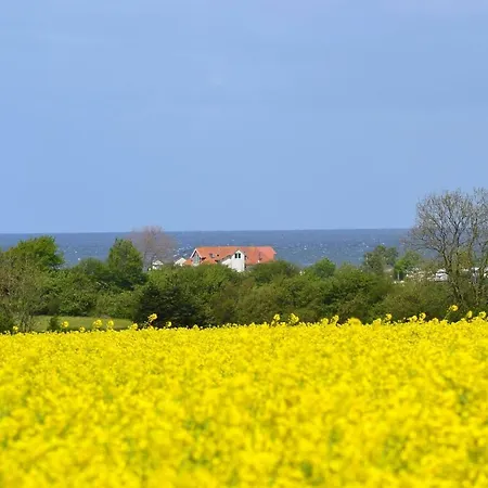 Steiner Strandappartements 2- Raumappartement Lachmoewe Seeseite *